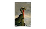 Birchwood Casey  BC-35403 B/C PREGAME TURKEY TGT 8-12X18