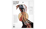 Champion Traps LIFESIZE Champion Targets 45780 LifeSize  Turkey Paper Hanging Pistol/Rifle 14" x 18" Mul