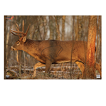 115791 Birchwood Casey 37481 EZE-Scorer  Whitetail Deer Paper Hanging 23" x 35" Multi-C