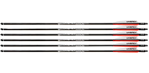 121689 RWS/Umarex 2252661 Air Saber  Black Carbon Fiber 6 Per Pack