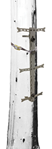 Gsm Outdoors 124188 Hawk HWK-HC2086-3 Helium Climbing Sticks Gray Aluminum 10" W x 30" L 3 Per Pkg