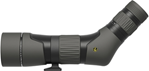 125769 Leupold 180143 SX-2 Alpine 20-60x60mm Shadow Gray Angled Body
