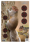 136567 Birchwood Casey 35406 Pregame  Squirrel Paper Hanging Rifle 12" x 18" Impact Enh
