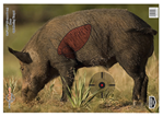 136569 Birchwood Casey 35408 Pregame Boar Boar Paper Target 16.50" x 24" 3 Per Pkg