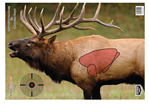 136571 Birchwood Casey 35404 Pregame Elk Target Elk Paper Target 16.50" x 24" 3 Per Pkg