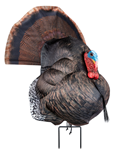 Primos/vista 141832 Primos 69072 Photoform Strutter Turkey Species Multi Color Foam