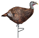 Primos/vista 141833 Primos 69070 Photoform Leading Hen Turkey Species Multi Color Foam