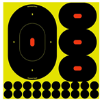 Birchwood Labor 23365 Birchwood Casey 34905 Shoot-N-C Targets 5 Pack