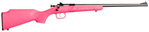 Crickett/keysto SINGLE SHOT Crickett KSA2221 Crickett  22 LR Caliber with 1rd Capacity, 16.12" Stainless Ste
