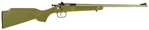 Crickett/keysto SINGLE SHOT Crickett KSA2243 Crickett  22 LR 1rd 16.13" Blued Receiver Stainless Barrel Dese