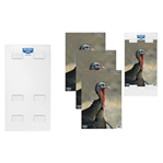 29449 Birchwood Casey 35423 Pregame Kit Turkey Tagboard TabLock Shotgun Multi-Color In