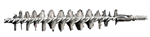 Rcbs 64816 RCBS 9328 Case Neck Brush 270-30 Cal Medium