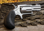 North American Arms  22MAG 2 BUGOUT II SS XS SGHT NAA-22M-TB