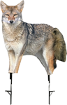 Montana Decoy M0079 MONTANA DECOY COYOTE SONG DOG