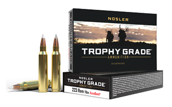 Nosler TROPHY 61036 NOSLER TG 223REM 70GR AB 20/200