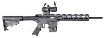 Swsc/gemtech MP15-22 Smith & Wesson 12724 M&P15-22 Sport with Red/Green Dot 22 LR 16.50" 10+1 Matte B