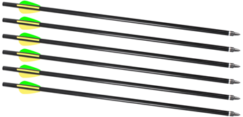 Traditions Inc 113486 Traditions A2217 Crackshot XBR  16" Aluminum 6 Per Pkg