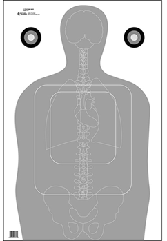 Action Target I 116040 Action Target FTQ15ANTAV2100 Qualification Vital Anatomy Silhouette/Vitals Paper