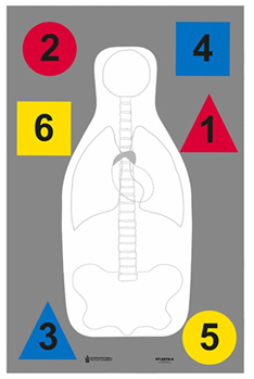 Action Target I 116047 Action Target DTANTQA100 Training Multi-Purpose Silhouette Paper Hanging 23" x 3