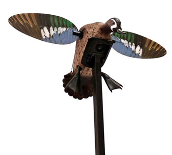 Mojo/hunt Wise 118816 Mojo Outdoors HW2475 Elite Series Blue Wing Teal Duck Species Multi Color Plasti