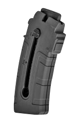 122644 Rossi 358001800 RS22W  22 WMR RS22W 10rd Black Detachable