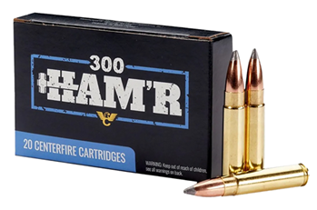 134073 Wilson Combat A300HMR-150-BTSP Centerfire Rifle  300 HAM'R 150 gr Speer Boat-Tai