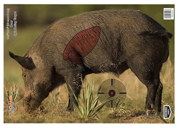 136569 Birchwood Casey 35408 Pregame Boar Boar Paper Target 16.50" x 24" 3 Per Pkg