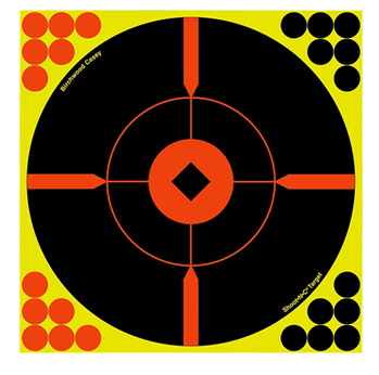 136591 Birchwood Casey 34016 Shoot-N-C Bullseye BMW Bullseye Adhesive Paper Target 12"
