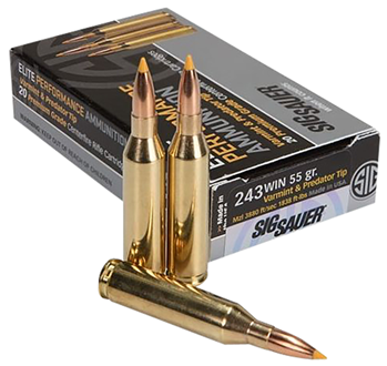 23483 Sig Sauer E243V120 Elite Hunting Varmint & Predator 243 Win 55 gr Varmint & Pred