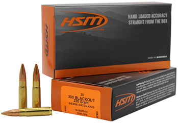 Hsm/hunting Sha 2379 HSM 300BLK4N Match  300 Blackout 220 gr Sierra MatchKing Hollow Point Boat-Tail