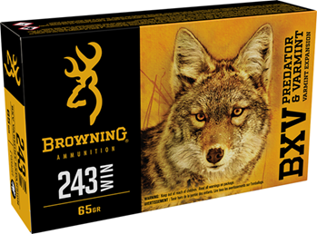 Browning Ammuni 23892 Browning Ammo B192302431 BXV  243 Win 65 gr Polymer Tip 20 Bx/ 10 Cs