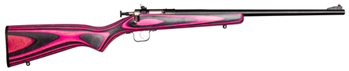 Crickett/keysto SINGLE SHOT Crickett KSA2226 Crickett  22 LR Caliber with 1rd Capacity, 16.12" Stainless Ste