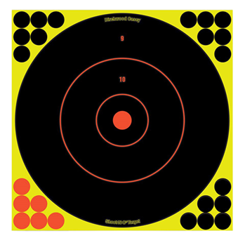 29422 Birchwood Casey 34022 Shoot-N-C Bull''s-Eye 12 Target