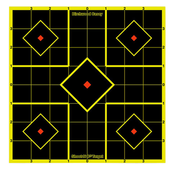 29424 Birchwood Casey 34112 Shoot-N-C Sight-In Target 15 Targets