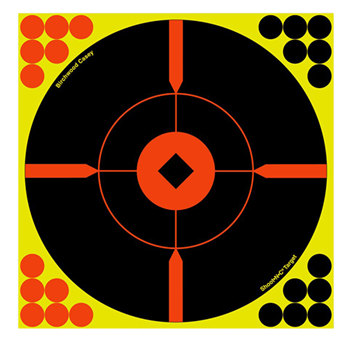 29446 Birchwood Casey 34806 Shoot-N-C Bull''s-Eye 6 Target