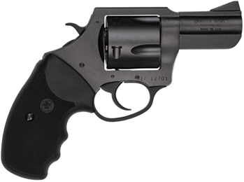 Charter Arms  64520 CHARTER ARMS PITBULL 45ACP 2.5" 5RD