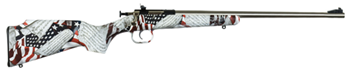 Crickett/keysto SINGLE SHOT Crickett KSA3168 Crickett  22 LR Caliber with 1rd Capacity, 16.12" Stainless Ste