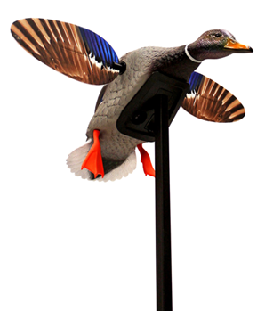 Mojo/hunt Wise 58506 Mojo Outdoors HW2470 Elite Series Mini Mallard Drake Species Multi Color Plastic