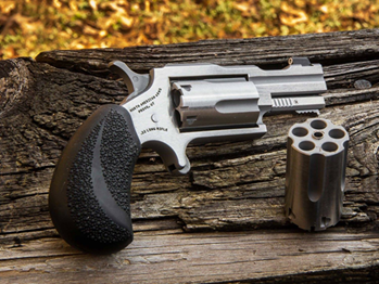 North American Arms  22M/22LR BUGOUT II SS XS SGHT NAA-22MC-TB